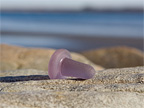 Sea Glass Photography - Sun-Colored Amethyst Stopper #1
