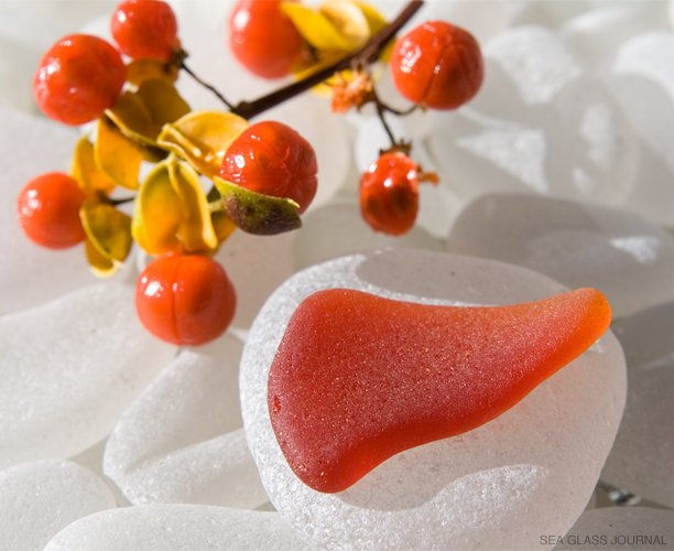 Sea Glass Amberina Shard, Still Life Photo