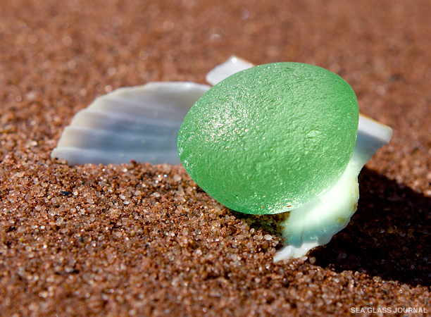 April Sea Glass Still Life Photo