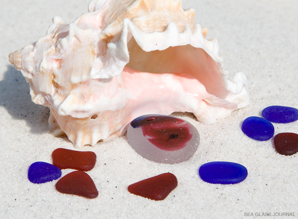 July Sea Glass Still Life Photo