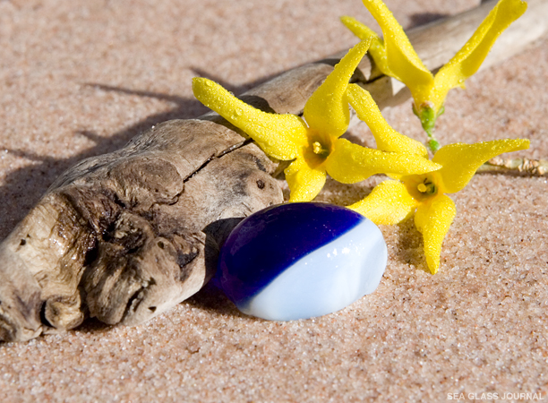 October Sea Glass Still Life Photo