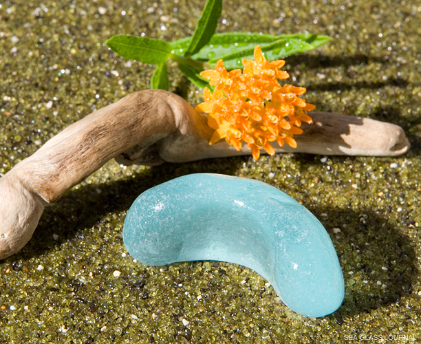 August Sea Glass Still Life Photo