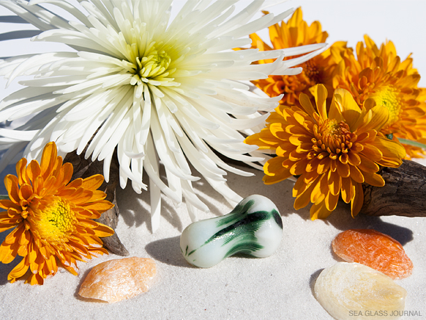 Santa Cruz Sea Glass Mushroom Still Life Photo