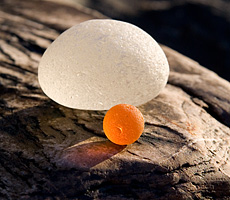 Orange Sea Glass Marble, Photo 3
