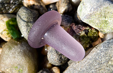 Sun-Colored Amethyst Sea Glass Stopper, Photo 1