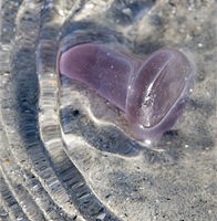 Sun-Colored Amethyst Sea Glass Stopper, Photo 3