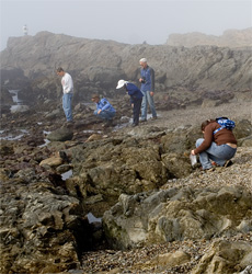 Sea Glass Beach Collecting
