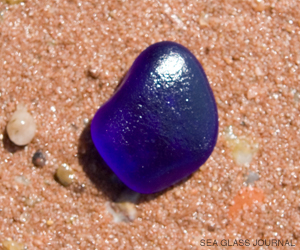 A cobalt blue sea glass gem found on the shores of Prince Edward Island.