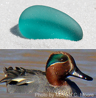 Teal Sea Glass, Photo 2