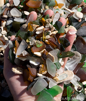 Bermuda Sea Glass - Dockyard Beach